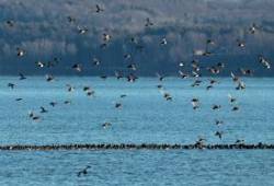Lake Champlain Photo: Sheri Larsen