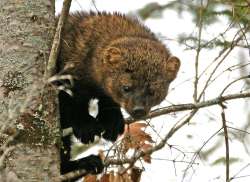 Local fisher Photo: Kirk Gentalen