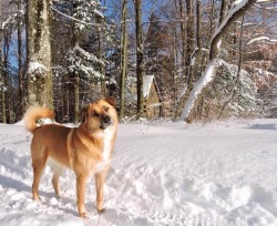 Sadie Mae Photo: Tami Gingrich