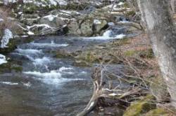 Snow brook Photo: Judy Sweet