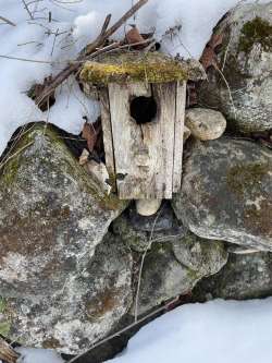 Stonewall birdhouse Photo: Alfred J. Sorensen