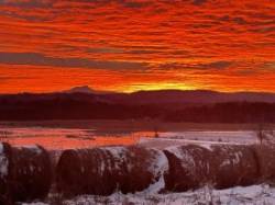 December sunrise Photo: Tom Nold