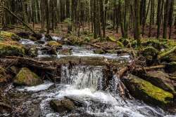 Trout brook falls Photo: Steven Arcone