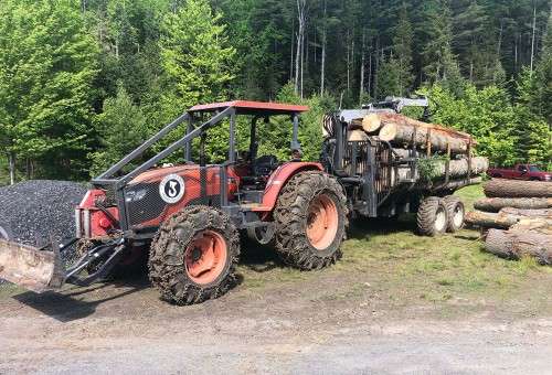 Horse logging