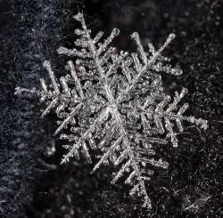 Snowflake Photo: Peter Hollinger