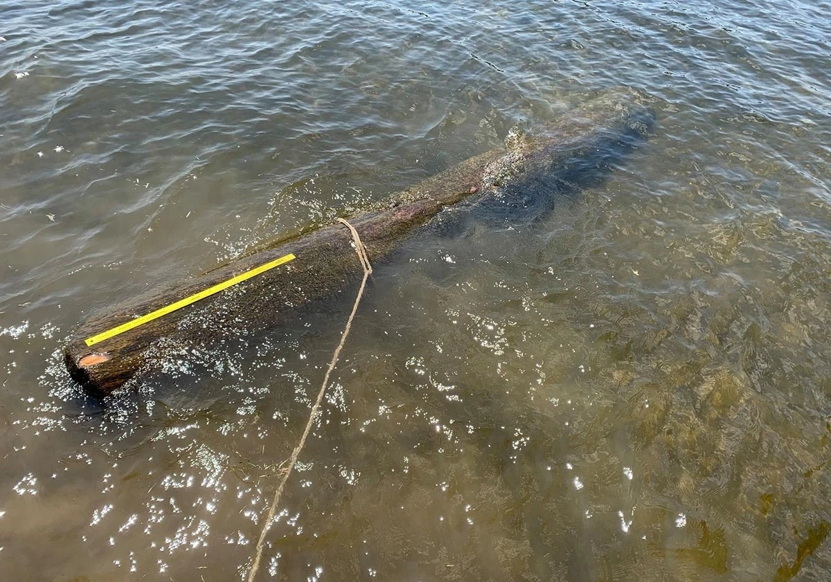 Log