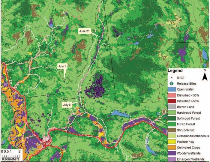 Black Bear Monitoring in New Hampshire