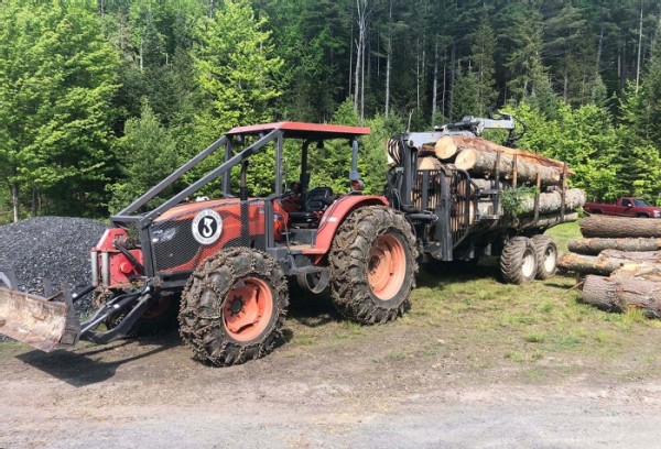 Horse Logging with Brad Johnson