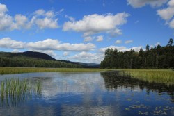 Cedar River Adirondacks Photo: John Blaser