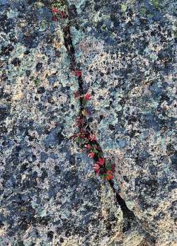 Granite seam Photo: Tammis Coffin