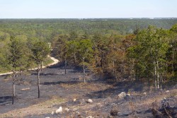 Prescribed Fire Photo: Joel R. Carlson