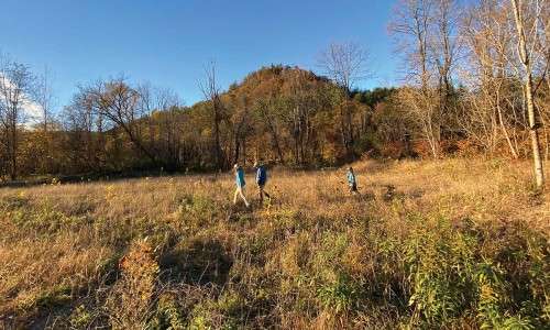 Floodplain forests