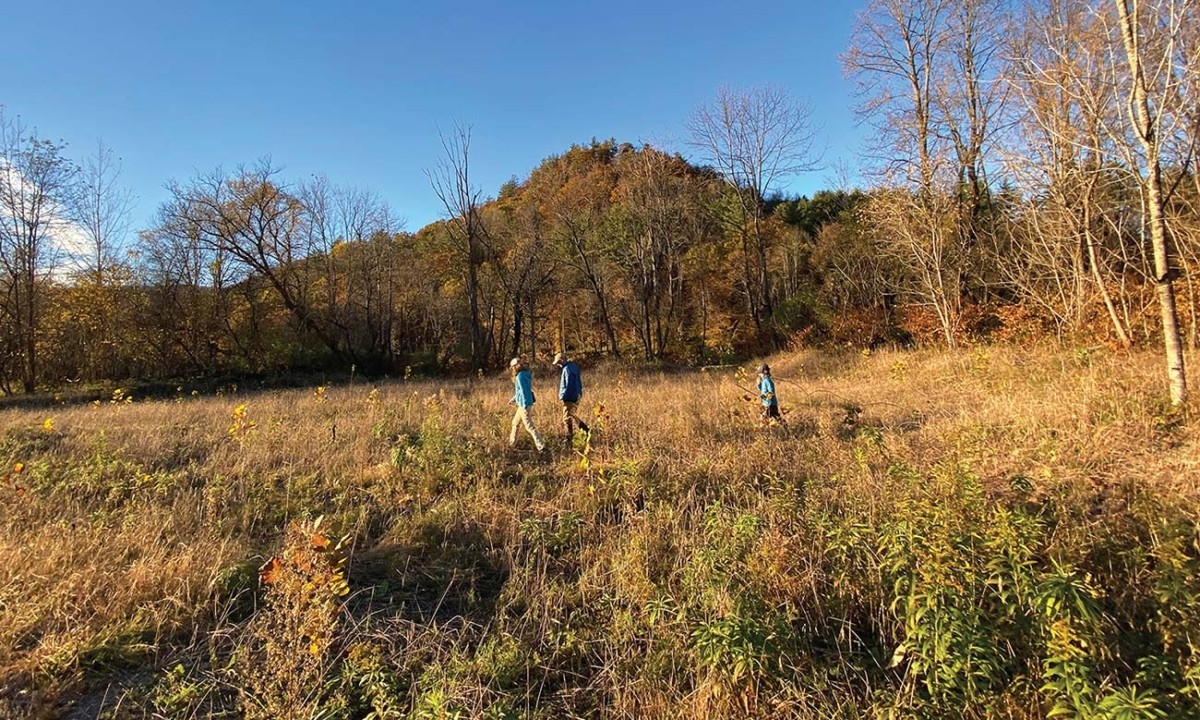 Floodplain Forests: Nature’s Flood Relief