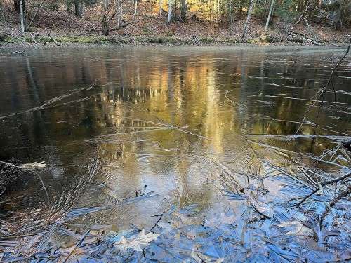 Ice Pond