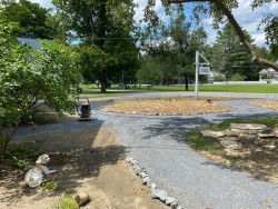 Percy in the shade Photo: Nancy Farwell