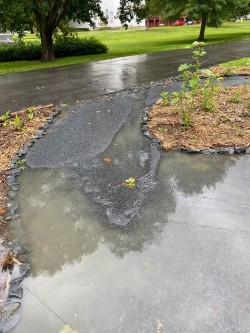 Flooding Photo: Nancy Farwell