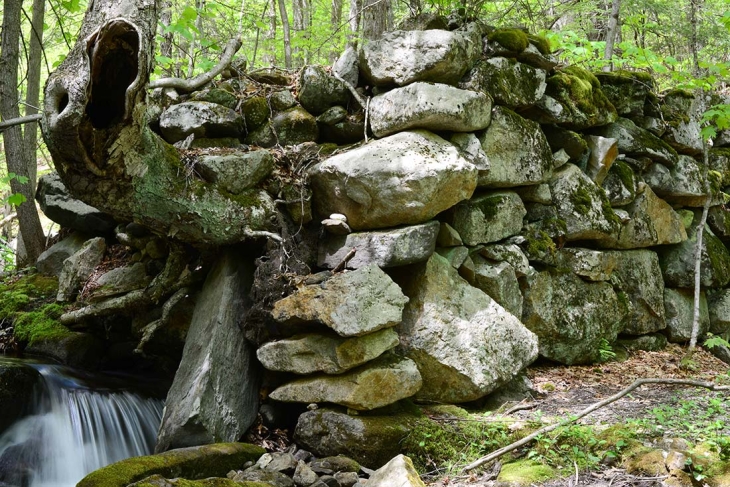 Stone Records in a Rewilding Landscape