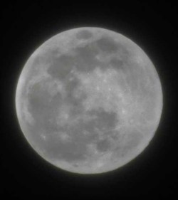 Super full moon Photo: Bonnie Honaberger