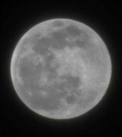 Super full moon Photo: Bonnie Honaberger