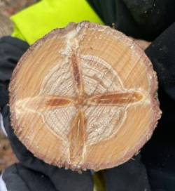 Wood cross Photo: Torrey Crossman