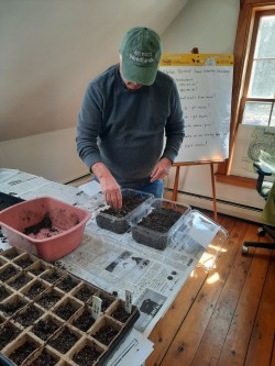 Seed starting workshop Photo: Emily S. Rowe