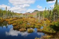 Hosmer brook Photo: Ken Hatch