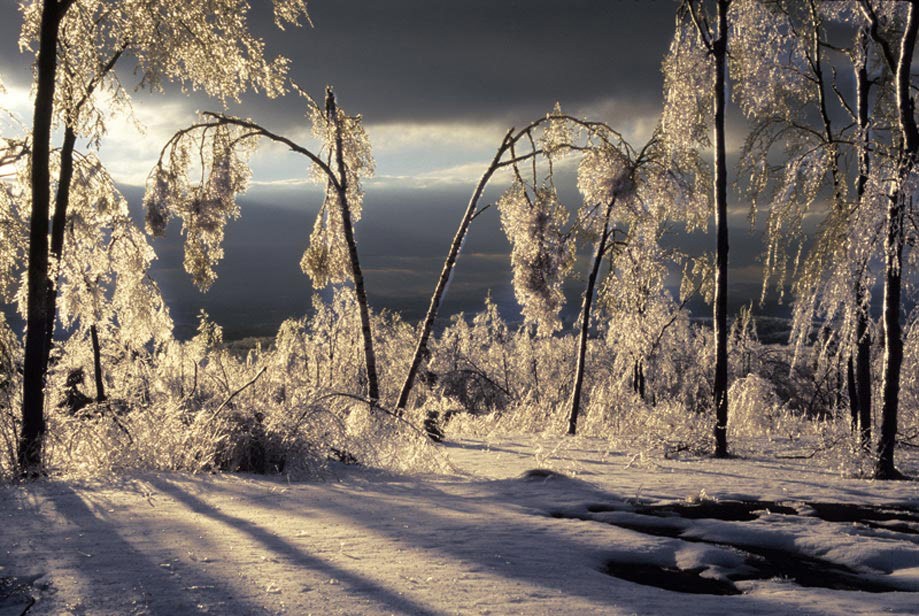 502_Ice_storm_in_Etna_NH.jpg