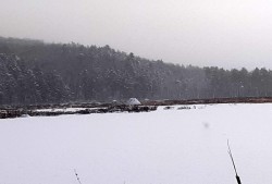 Beaver lodge Photo: Nancy A. Wilson