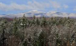 Cardigan Photo: Deb Clough