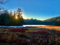 Beaver pond Photo: Steve Gallagher