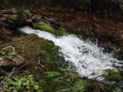 Pond Outlet Photo: Scotty Gladstone