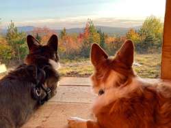 Corgi Mountain Photo: Tom Grett