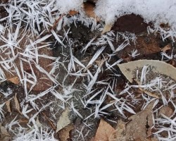 Ice crystals Photo: Sheri Larsen