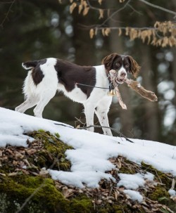 Leg for lunch Photo: Anonymous