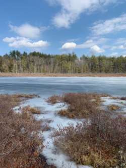 Mud Pond Photo: Bill-lee Abbott