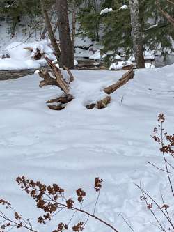 Snowy seat Photo: Nancy Halloran