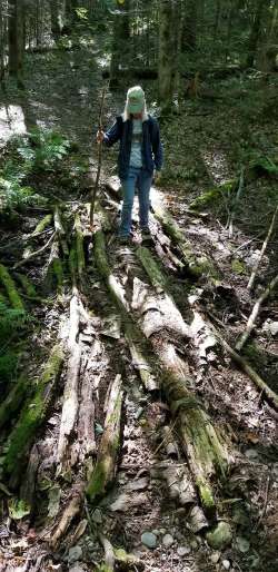 Trail crossing Photo: Mary Heide