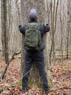 Tree hugging Photo: Sandy Dannis