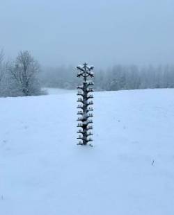 Snowy backyard Photo: Sandy Dannis
