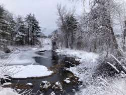 Frozen pond Photo: Richard Philben