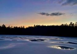 Frozen pond Photo: Karinne Heise