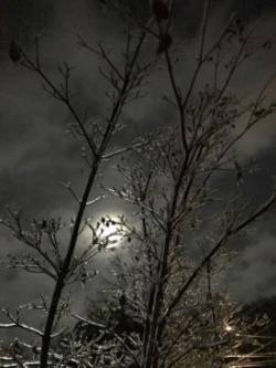 Full Moon Photo: Sue Stone