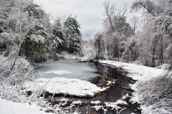 Patten wetland Photo: Judy Sweet