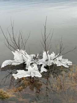 Ice sculpture Photo: Louanne Nielsen