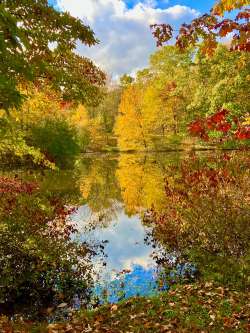 Autumn pond Photo: Ross Lanius