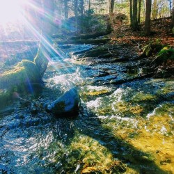 Spring Reflection Photo: Tracy Sherbrook