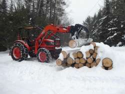 Timber harvest Photo: Gordon Gould