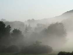 Morning Mist Photo: Clare Lise Kelly