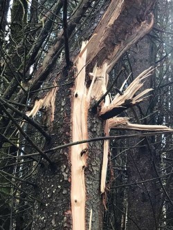 Noreaster Photo: Bonita Choly