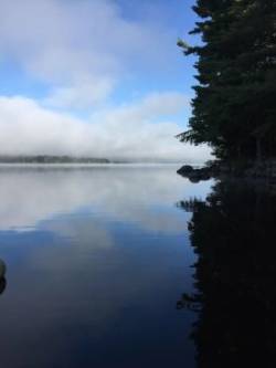 Mascoma Lake Photo: Tracy Rice